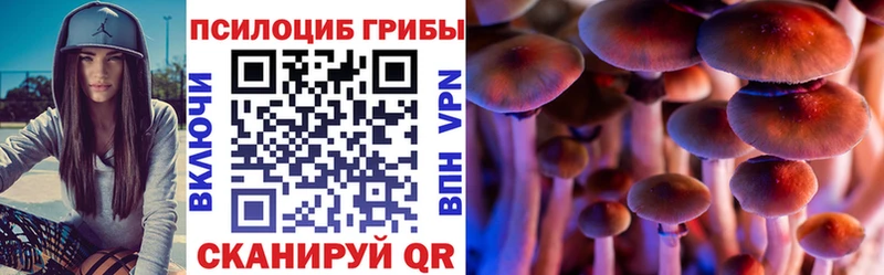 Псилоцибиновые грибы MAGIC MUSHROOMS Камышин